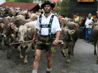 2007-09-17-allgaeu-viehscheid-10