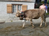 2007-09-17-allgaeu-viehscheid-100