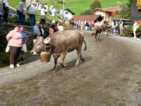 2007-09-17-allgaeu-viehscheid-102