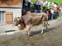 2007-09-17-allgaeu-viehscheid-105