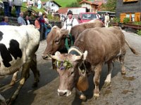 2007-09-17-allgaeu-viehscheid-109