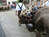 2007-09-17-allgaeu-viehscheid-11