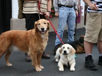 2007-09-17-allgaeu-viehscheid-112