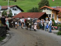 2007-09-17-allgaeu-viehscheid-129