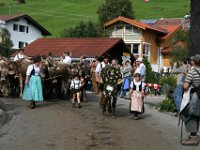 2007-09-17-allgaeu-viehscheid-133