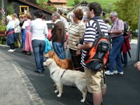 2007-09-17-allgaeu-viehscheid-135