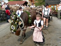 2007-09-17-allgaeu-viehscheid-141