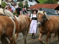 2007-09-17-allgaeu-viehscheid-143