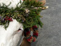 2007-09-17-allgaeu-viehscheid-145