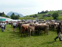 2007-09-17-allgaeu-viehscheid-162