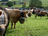 2007-09-17-allgaeu-viehscheid-183