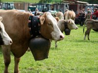 2007-09-17-allgaeu-viehscheid-184