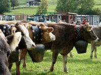 2007-09-17-allgaeu-viehscheid-187