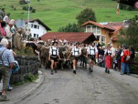 2007-09-17-allgaeu-viehscheid-2