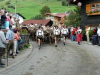 2007-09-17-allgaeu-viehscheid-21
