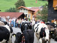 2007-09-17-allgaeu-viehscheid-22