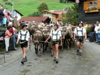 2007-09-17-allgaeu-viehscheid-23