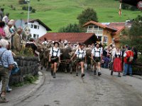 2007-09-17-allgaeu-viehscheid-3