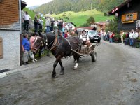 2007-09-17-allgaeu-viehscheid-34