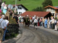 2007-09-17-allgaeu-viehscheid-36
