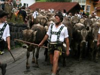 2007-09-17-allgaeu-viehscheid-4