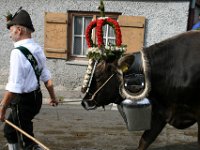 2007-09-17-allgaeu-viehscheid-42