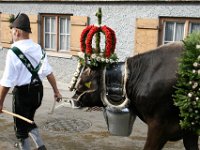 2007-09-17-allgaeu-viehscheid-43