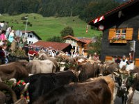 2007-09-17-allgaeu-viehscheid-51