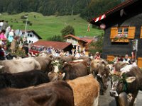 2007-09-17-allgaeu-viehscheid-52