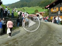 2007-09-17-allgaeu-viehscheid-56