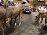 2007-09-17-allgaeu-viehscheid-58
