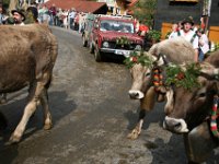 2007-09-17-allgaeu-viehscheid-59