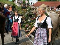 2007-09-17-allgaeu-viehscheid-71