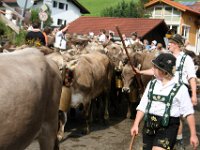 2007-09-17-allgaeu-viehscheid-72