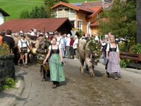 2007-09-17-allgaeu-viehscheid-80