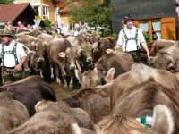 2007-09-17-allgaeu-viehscheid-86