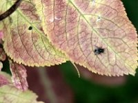 2007-09-17-allgaeu-mtb-67