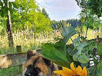 2025 Pfalz - 106 von 145