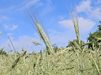 2025 Pfalz - 111 von 145