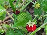 2025 Pfalz - 120 von 145