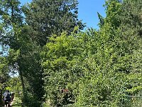 2025 Pfalz - 133 von 145