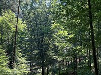 2025 Pfalz - 22 von 145