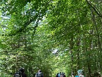 2025 Pfalz - 28 von 145