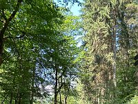 2025 Pfalz - 29 von 145