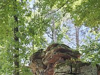 2025 Pfalz - 55 von 145