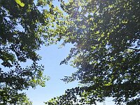 2025 Pfalz - 59 von 145