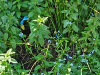 2025 Pfalz - 64 von 145