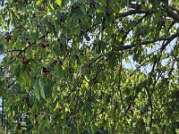 2025 Pfalz - 65 von 145