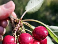 2025 Pfalz - 71 von 145