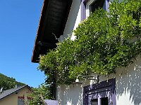 2025 Pfalz - 85 von 145